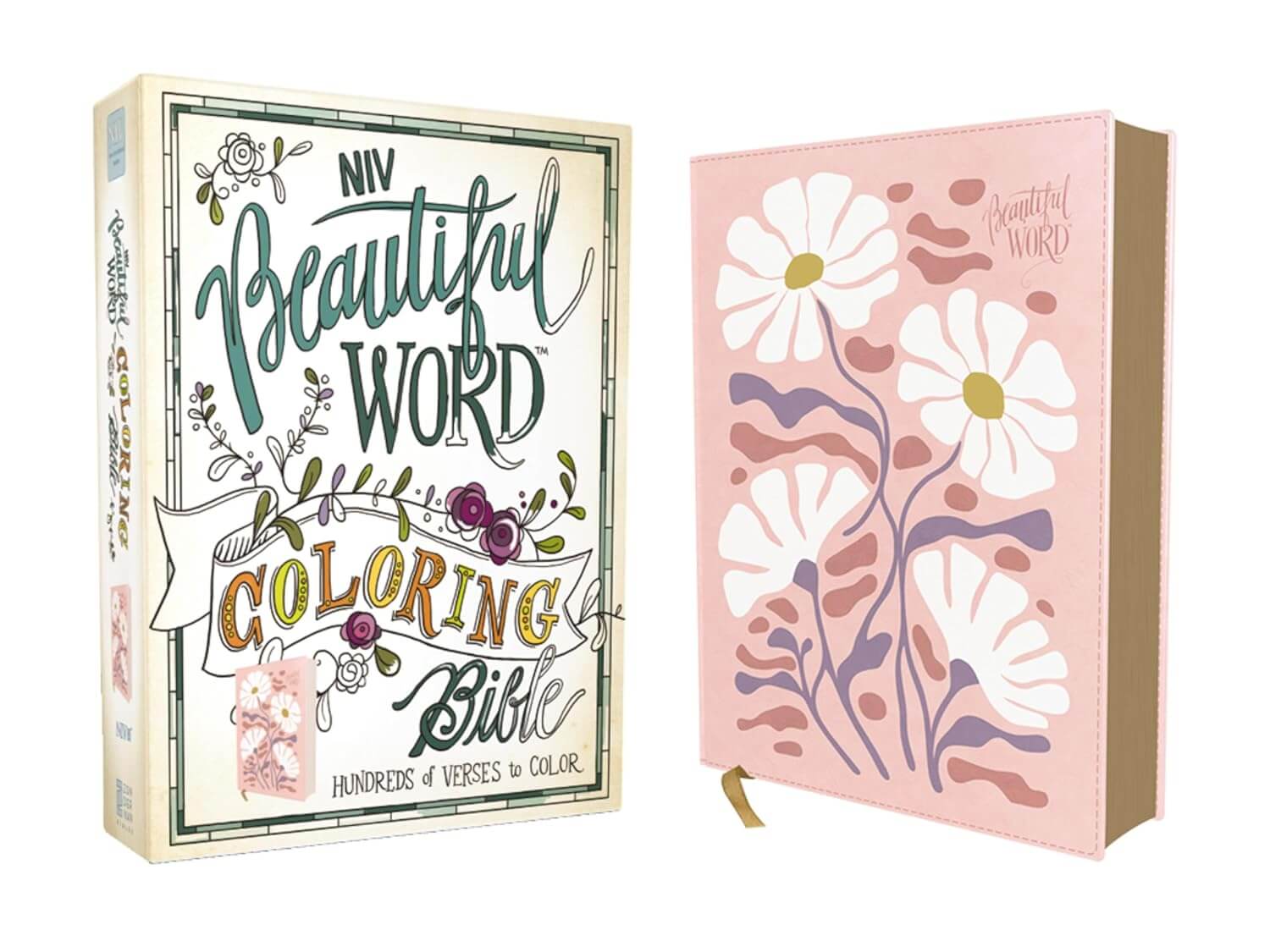 Beautiful World Coloring Bible Cover